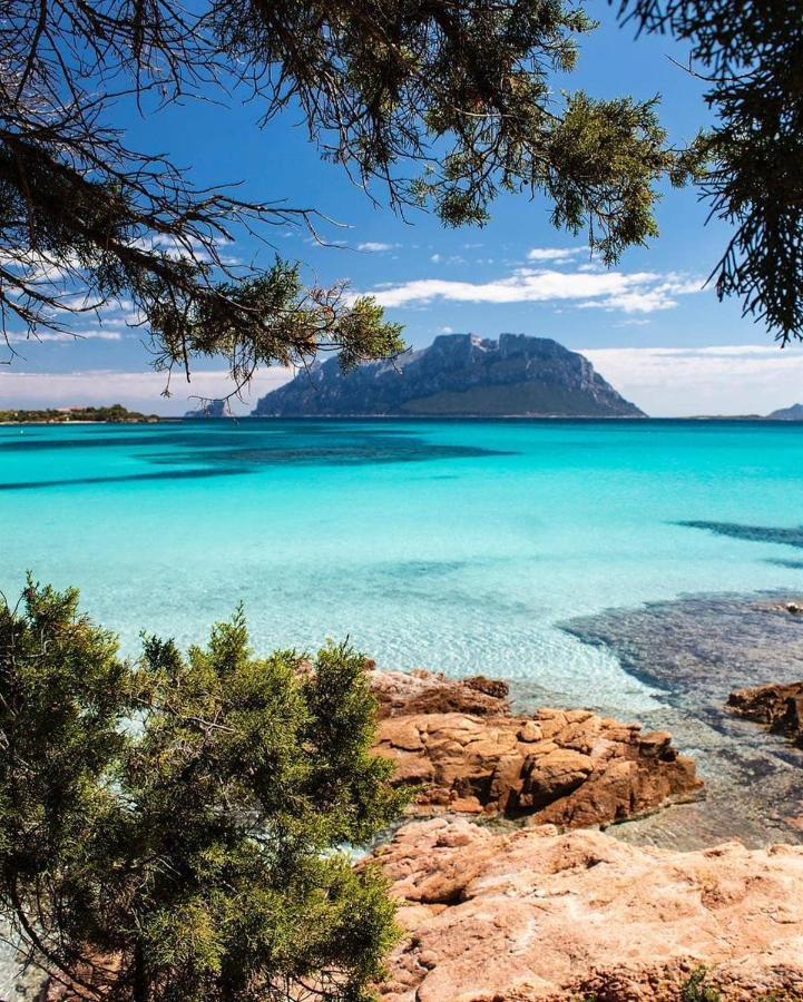 Porto Istana Beach House Olbia Ngoại thất bức ảnh